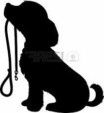 puppy holding leash imagesCAC2Z7Q2