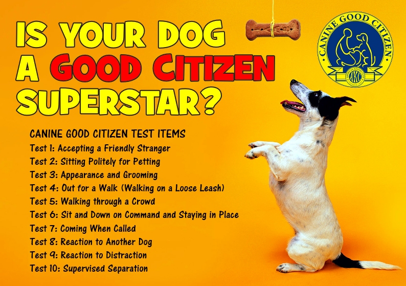 AKC Canine Good Citizen - Anythings PAWSable Dog Training